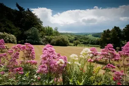 Countryside views at Beaford Country House