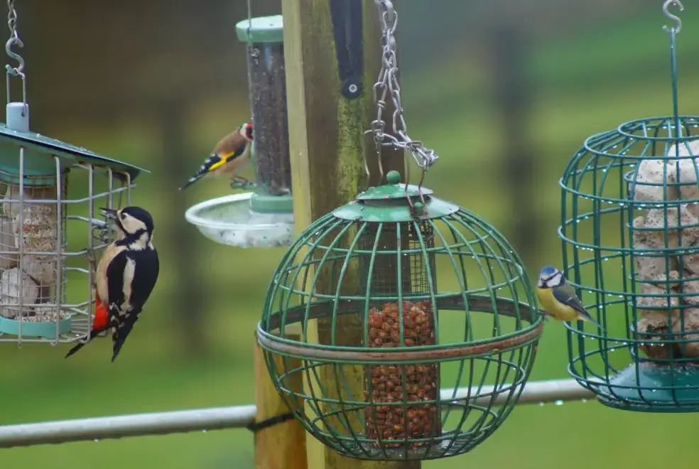 Countryside near Beautiful Cotswold View