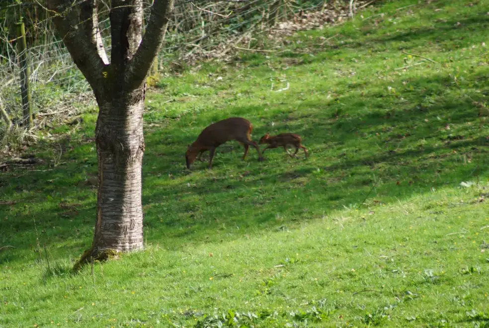 Countryside views at Beautiful Cotswold View