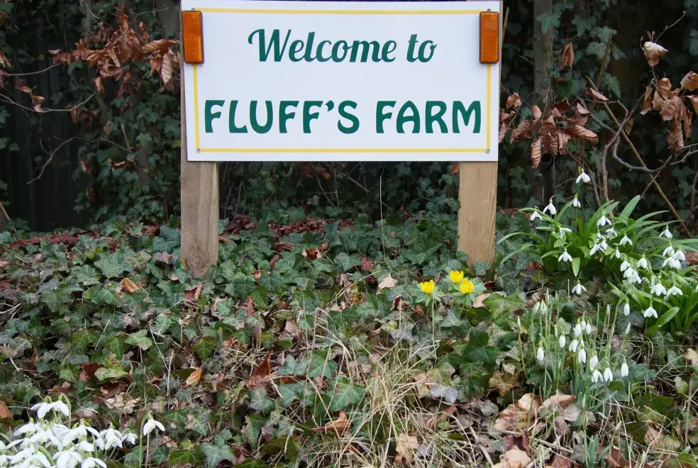 Countryside near Beautiful Cotswold View