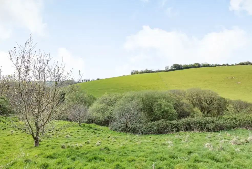 Countryside views at Beechcroft Cottage