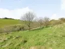 Countryside views at Beechcroft Cottage - thumbnail photo