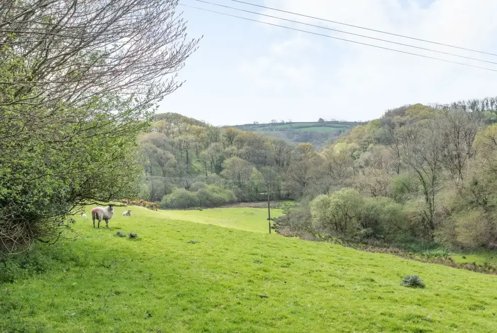 Countryside views at Beechcroft Cottage