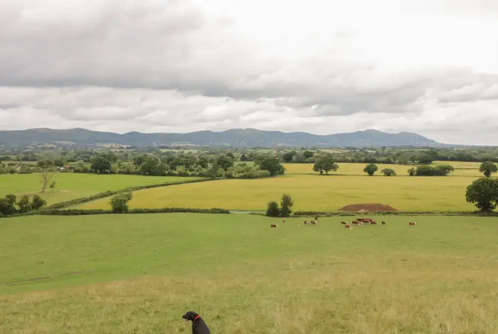 Countryside views at Beesoni Rural Retreat, Malvern Hills