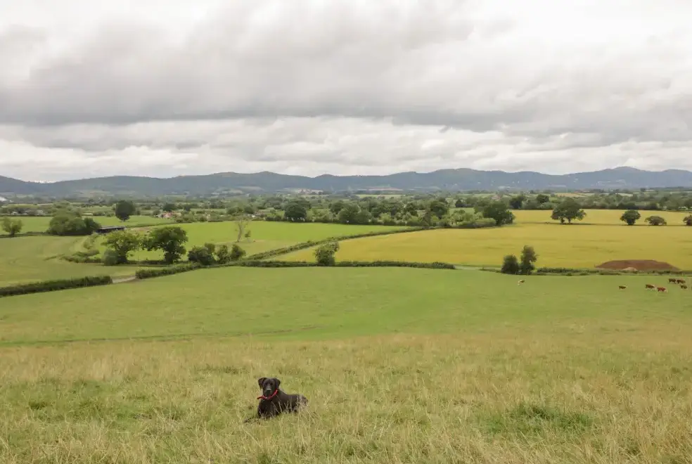 Countryside views at Beesoni Rural Retreat, Malvern Hills