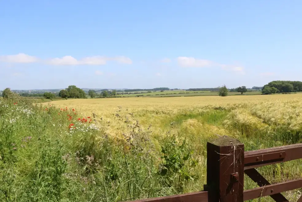 Countryside views at Bell House Barn