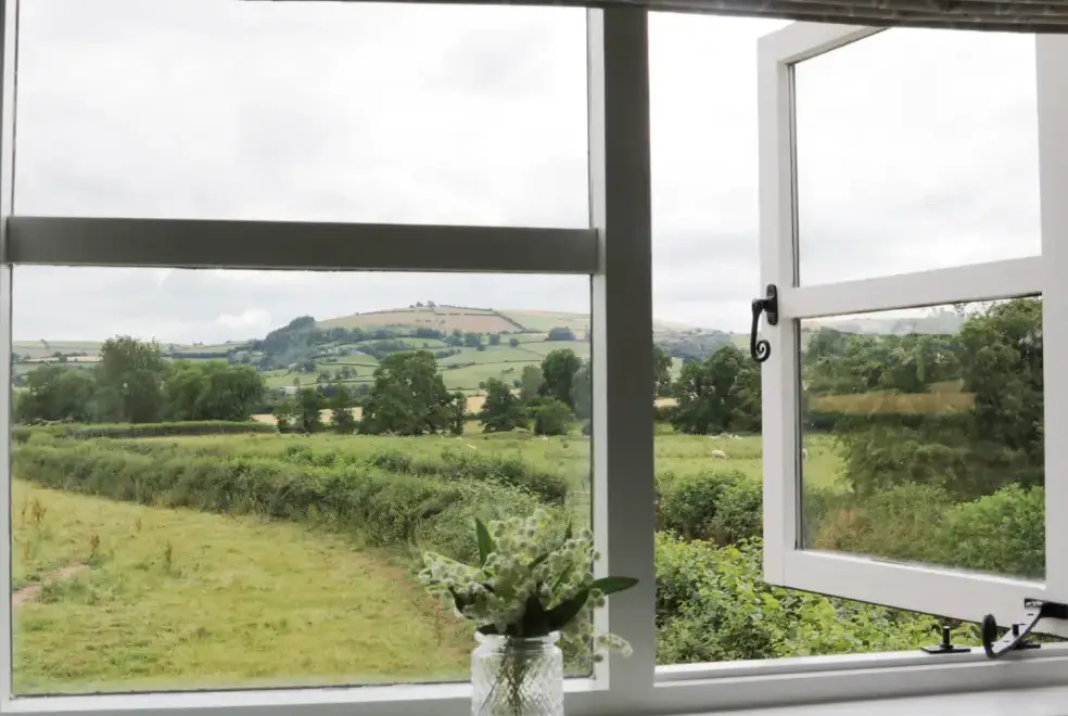 Countryside views at Bicton Lodge