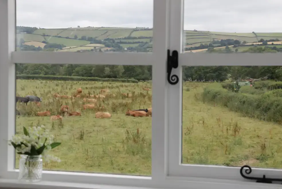 Countryside views at Bicton Lodge