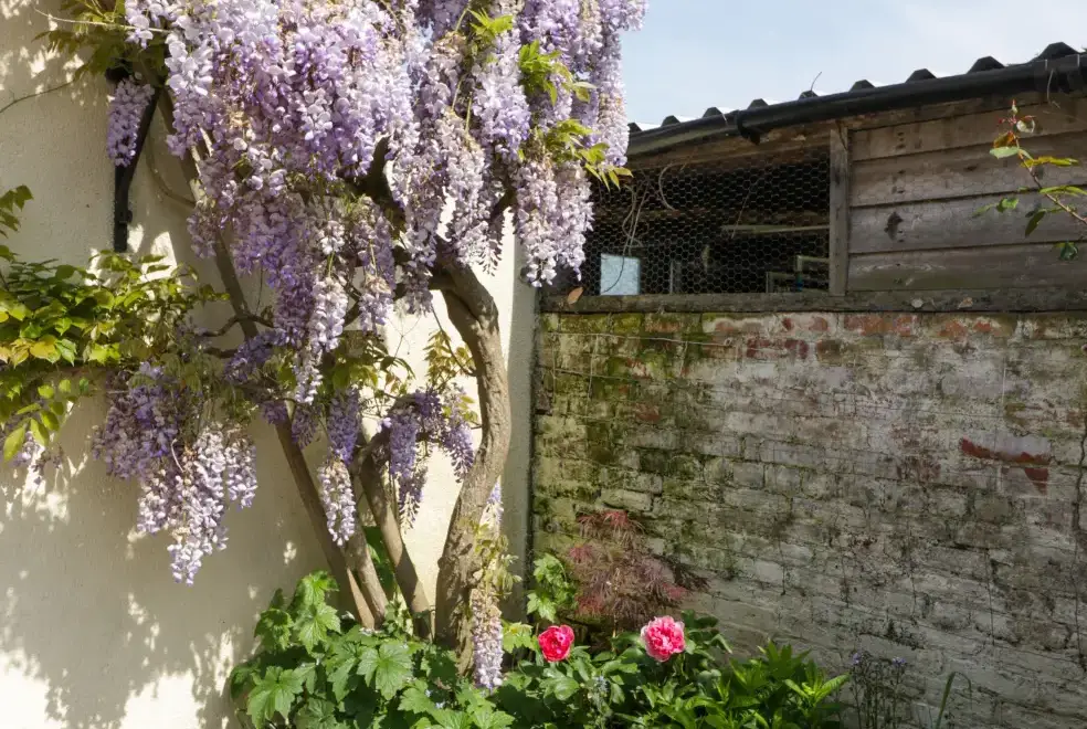 Enclosed garden at Bilsham Meadows