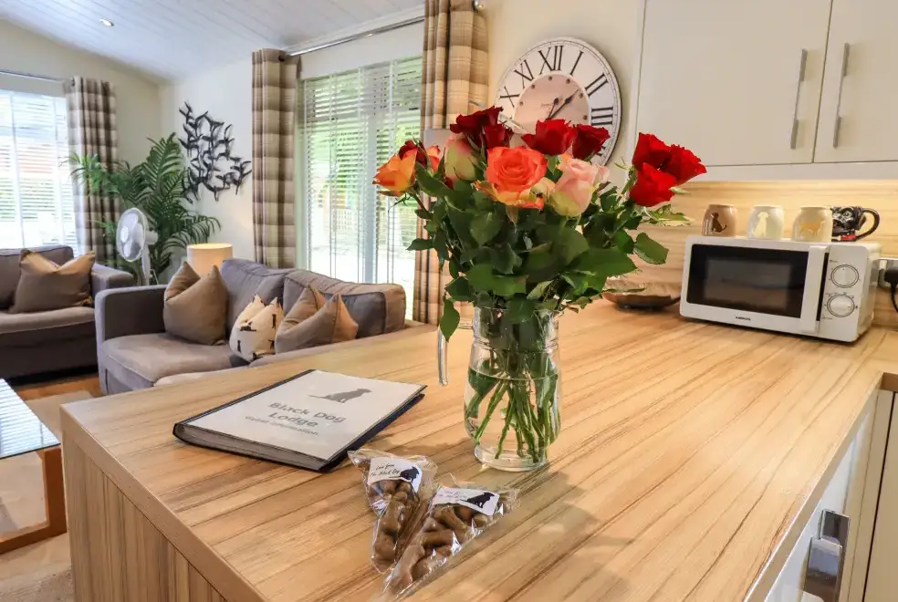 Open plan living area at Black Dog Lodge