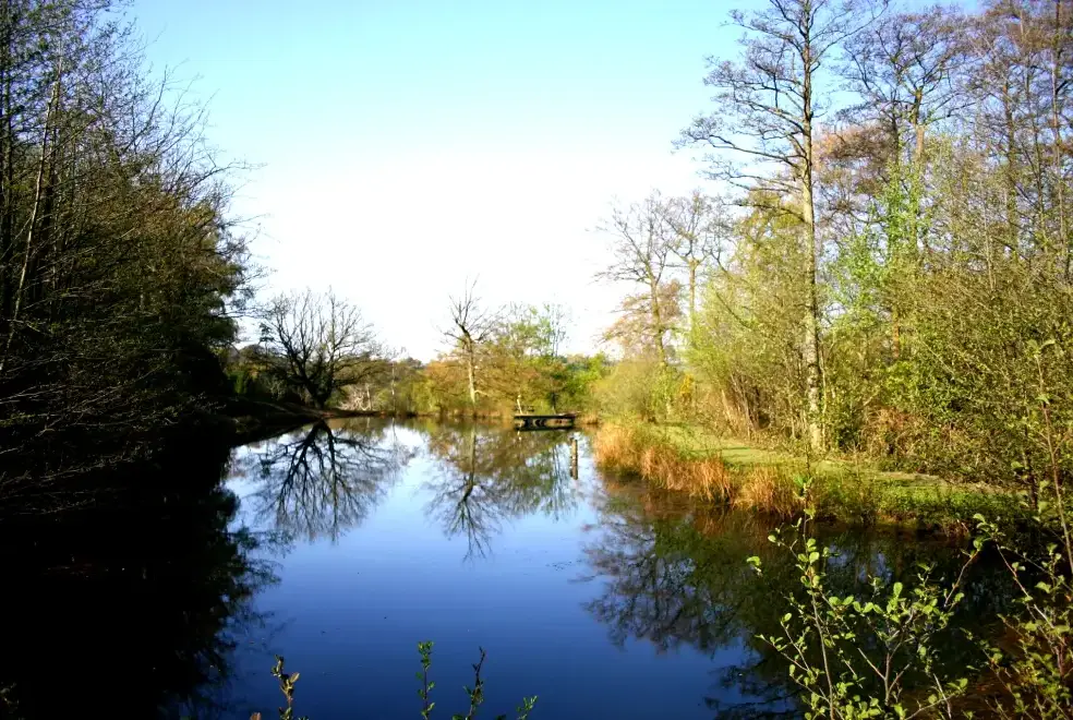 Lake view at Blackdown Cottage