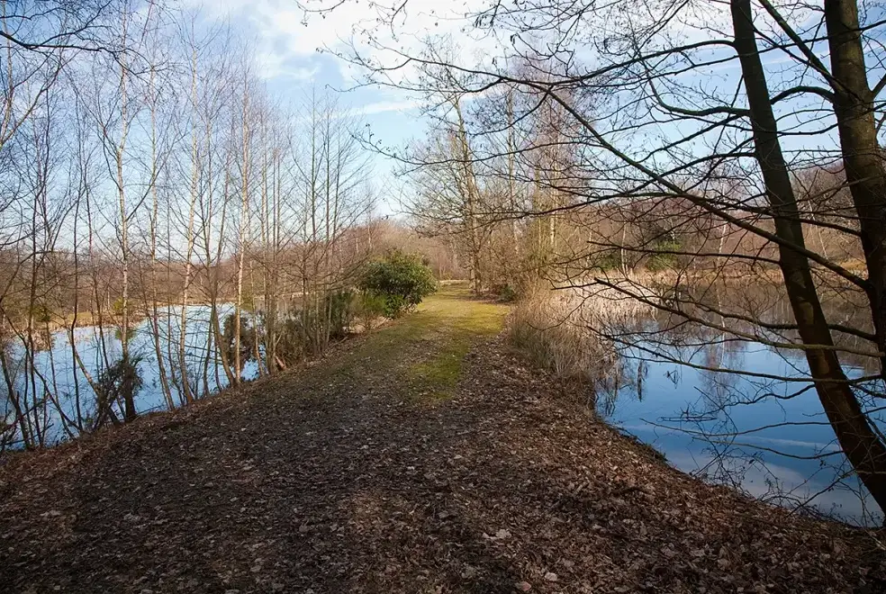 Countryside near Blackdown Cottage