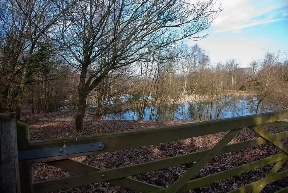 Countryside near Blackdown Cottage