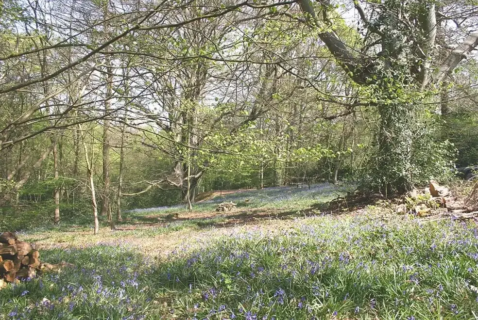 Countryside views at Blackdown Cottage