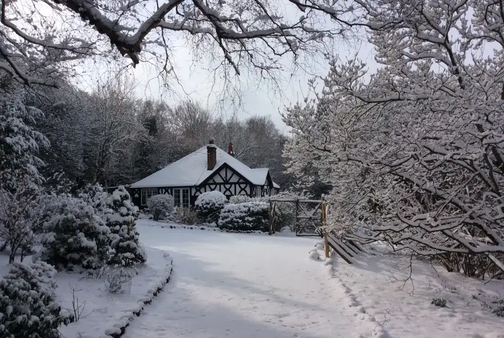 Countryside near Blackdown Cottage