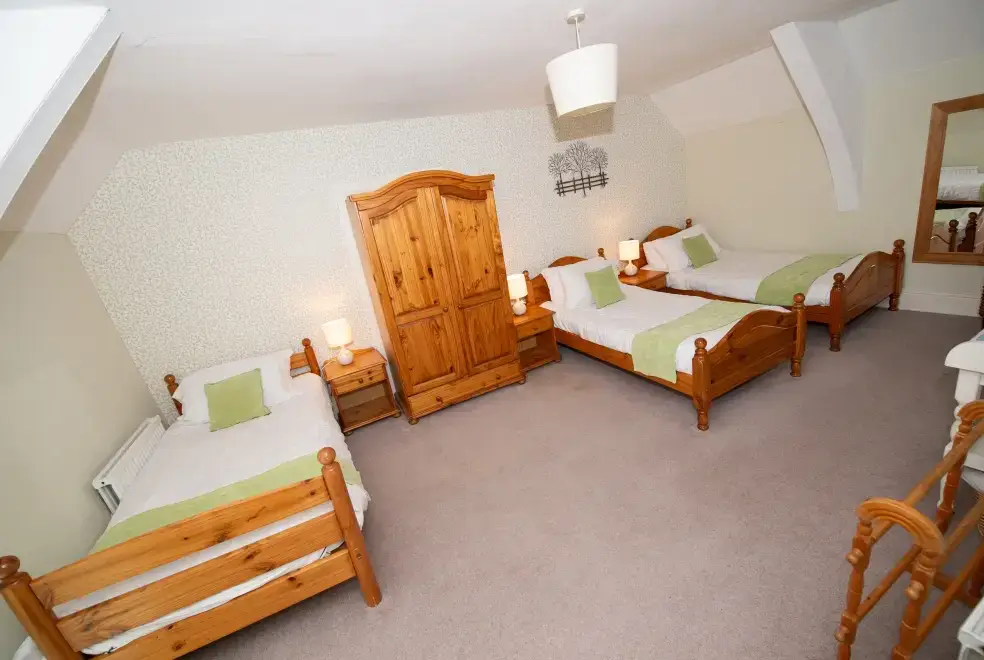 Bedroom at Blaenpant Mansion