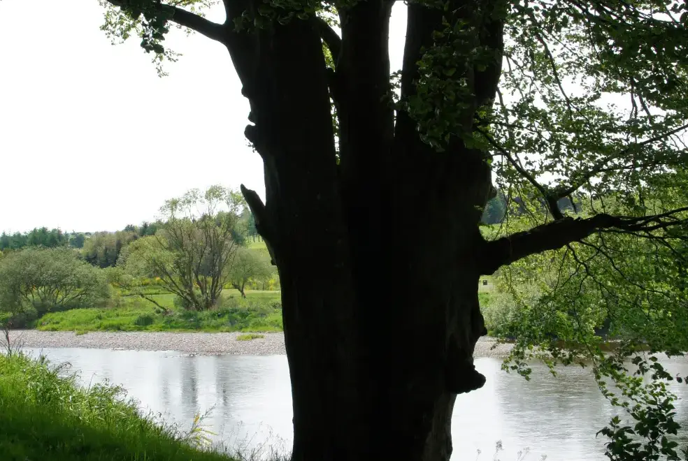 Countryside views at Boat House