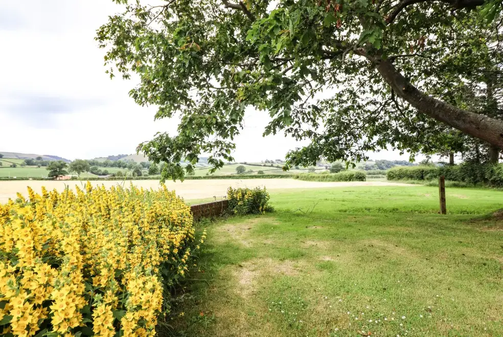 Countryside views at Bodaioch Hall