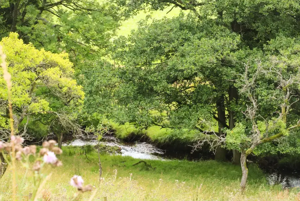 Countryside views at Bowland Barn