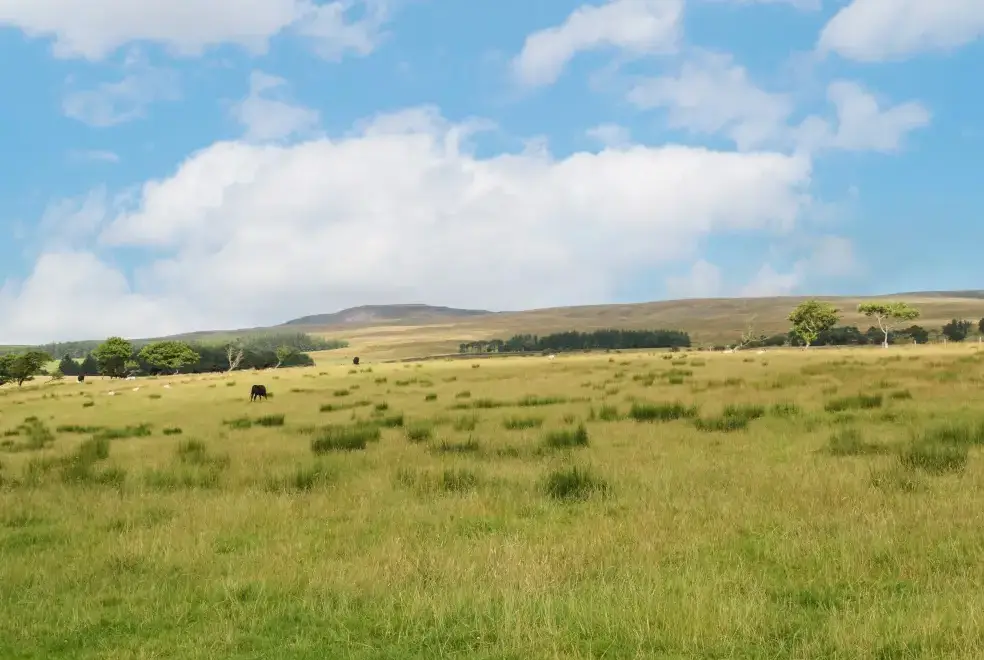 Countryside near Bowland Barn