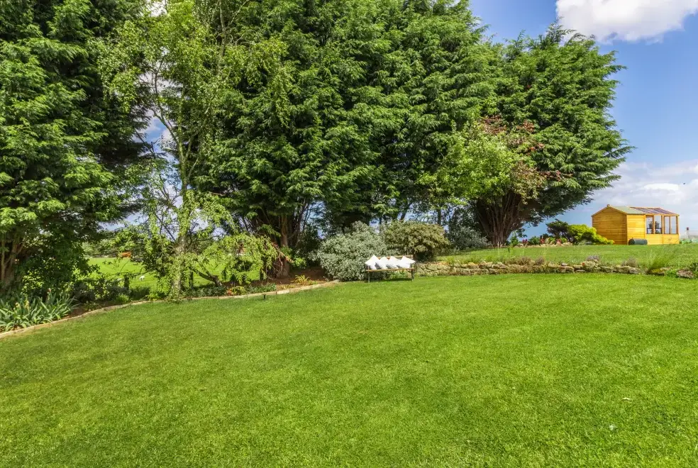 Garden at Bracken Barn Cottage