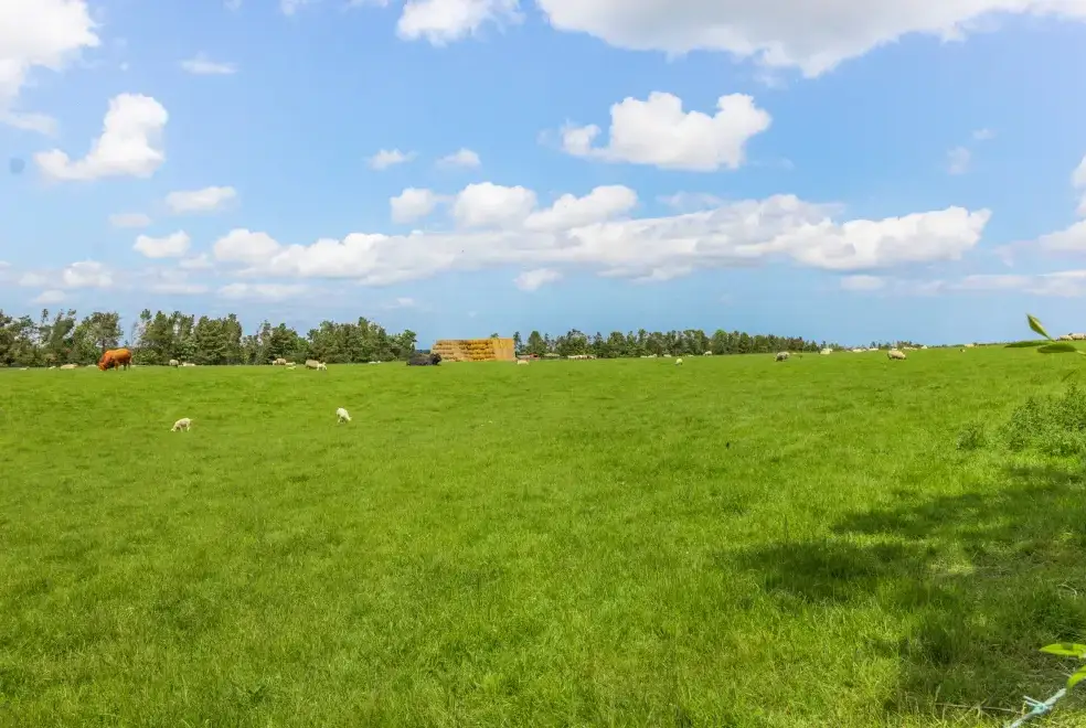 Countryside views at Bracken Barn Cottage