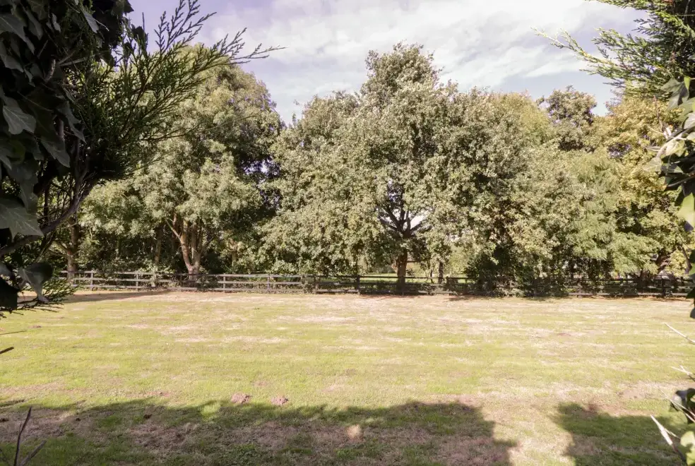 Countryside views at Brew Cottage