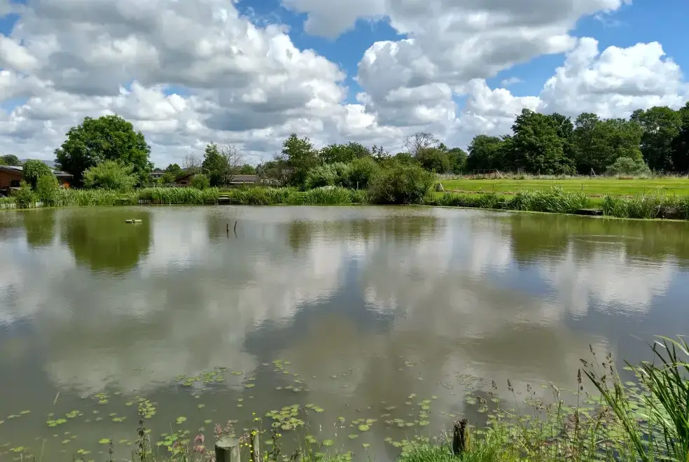 Lake view at Briarcroft Fishery Lodge