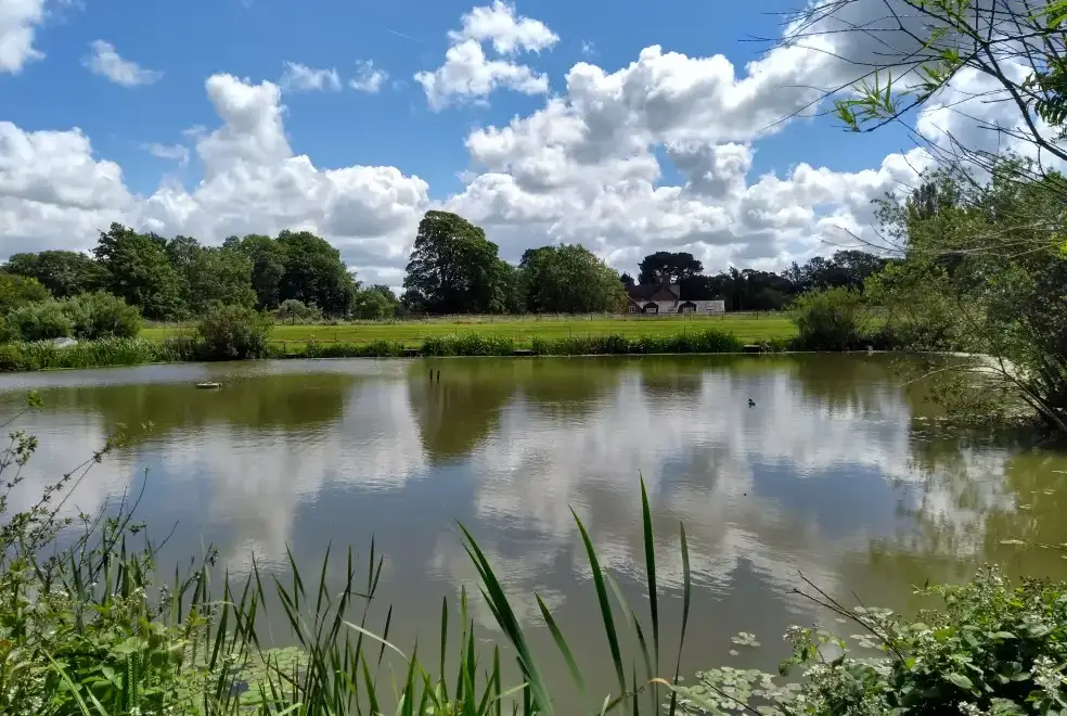 Lake view at Briarcroft Fishery Lodge