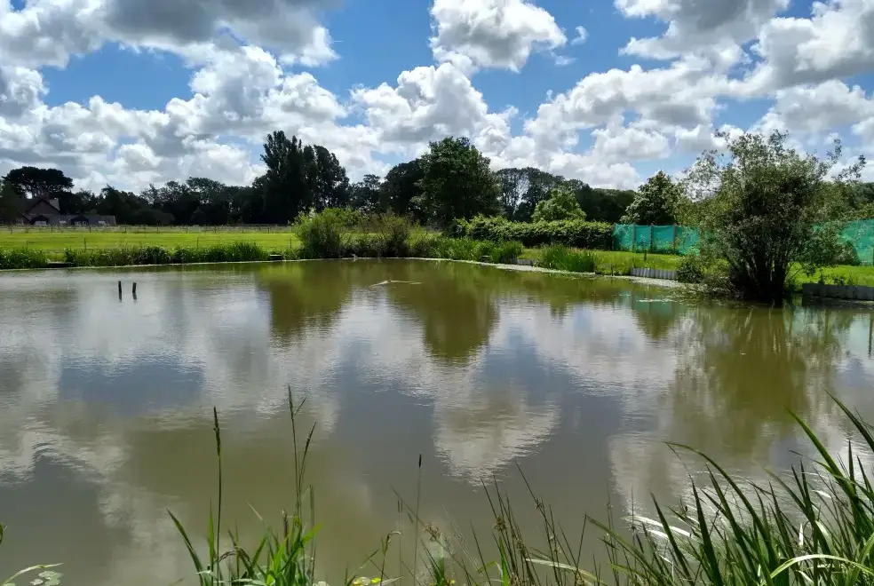 Lake view at Briarcroft Fishery Lodge