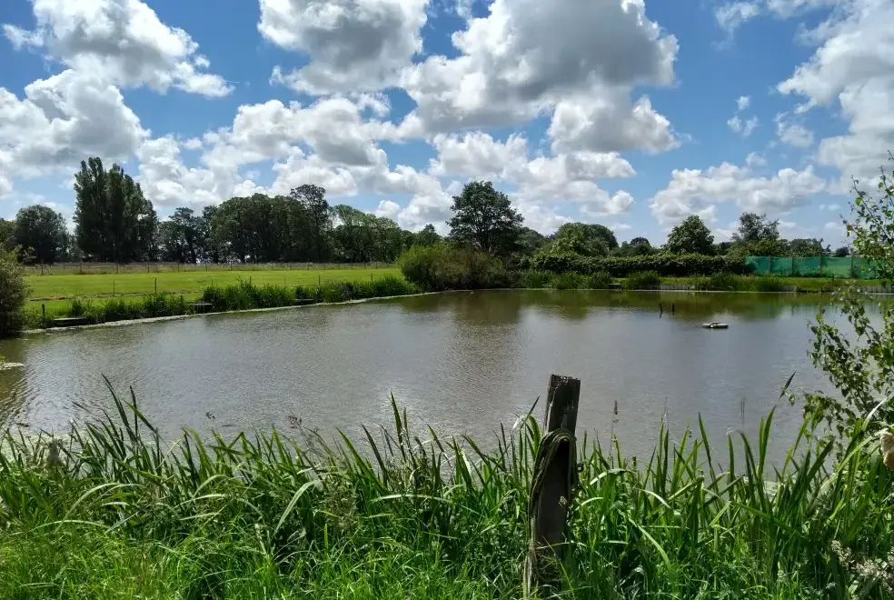 Lake view at Briarcroft Fishery Lodge