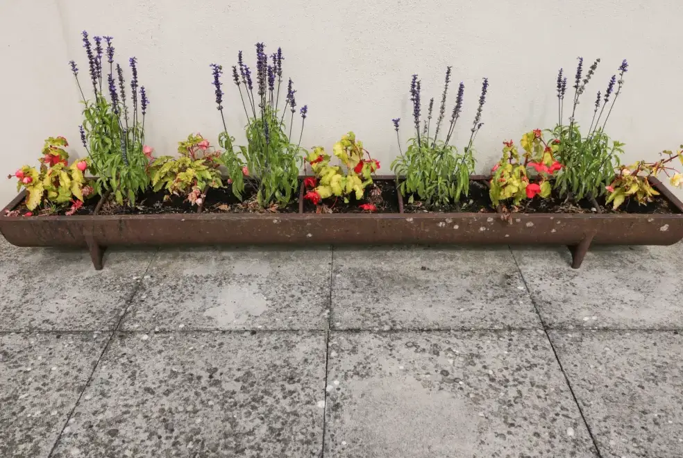 Patio area at Brindle Cottage