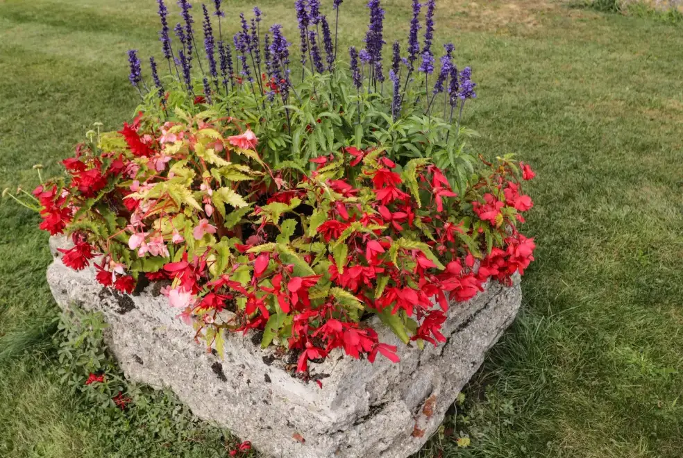 Enclosed garden at Brindle Cottage