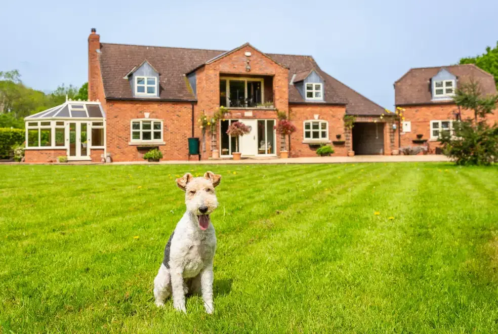 Dogs welcome at Broadleaf Lodge