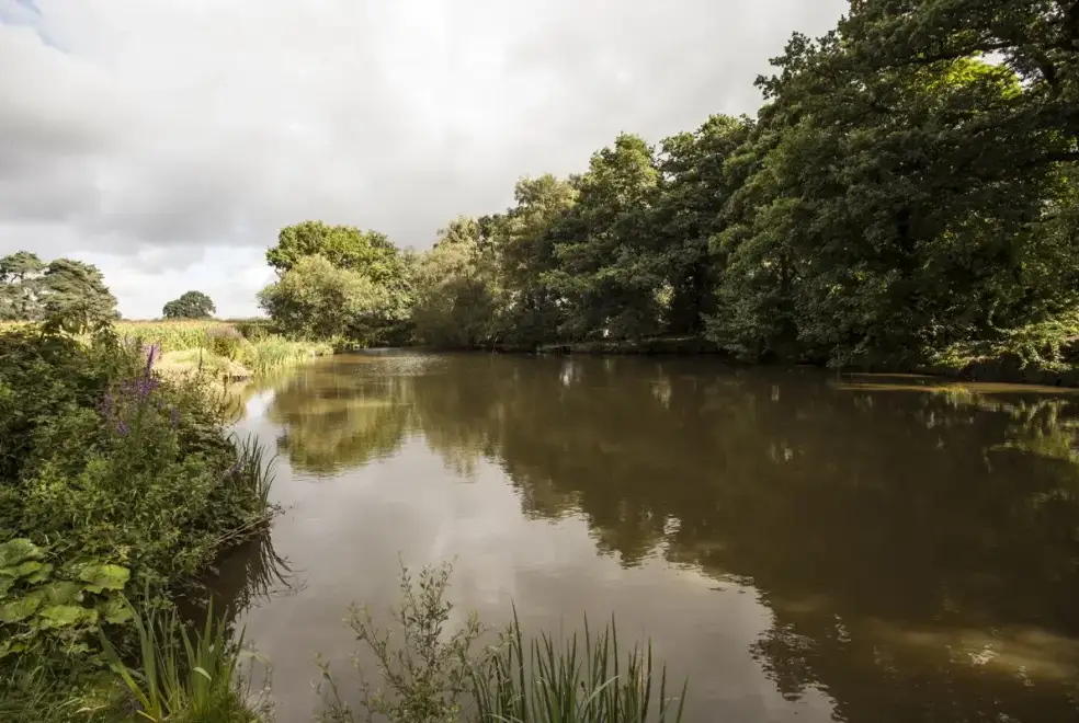 Countryside views at Brookbank farm