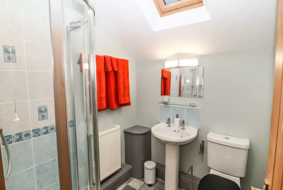 Shower room at Bryn Aber Bach