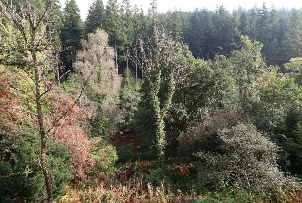 Countryside near Bryn Cemlyn