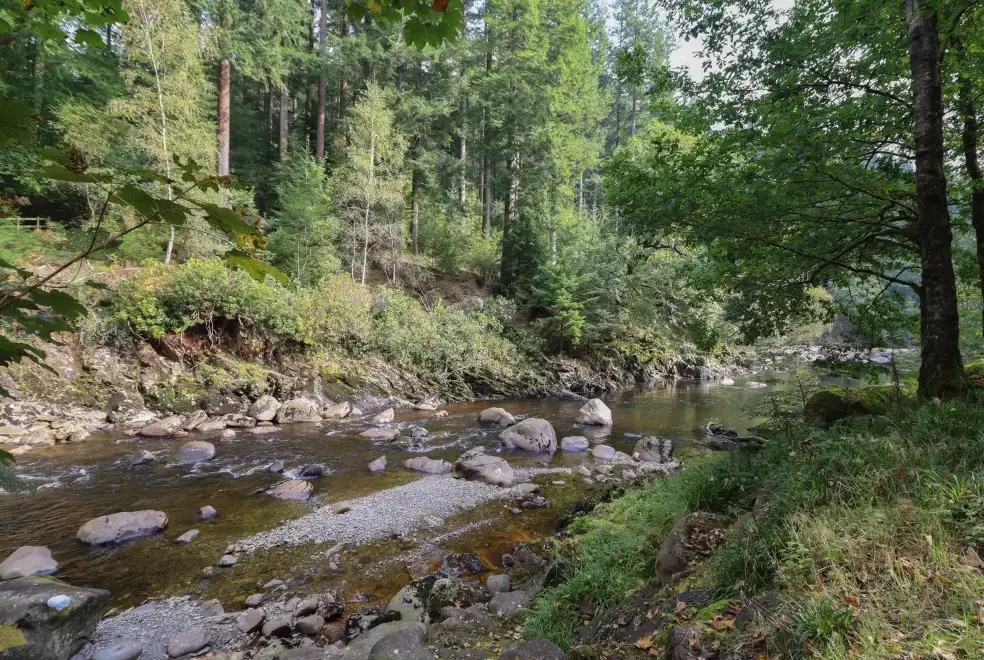 Countryside near Bryn Cemlyn