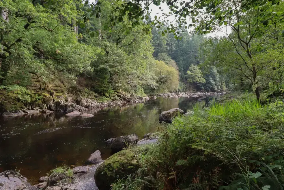 Countryside near Bryn Cemlyn