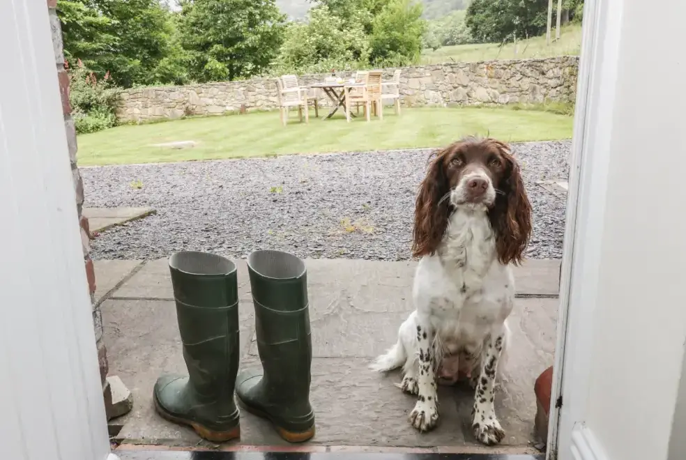 Enclosed garden at Bryn Howell Holiday Barn