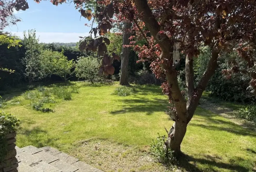 Garden at Bucknowle Lodge