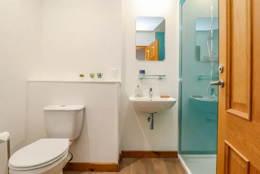 Shower room at Budock