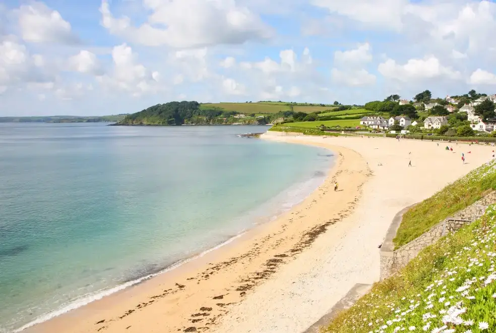 Coastal scenes near Budock