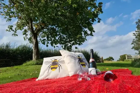 Garden at Buttercups Haybarn 5 Star Cottage with Indoor Pool, Sports Court & Toddler Play Area