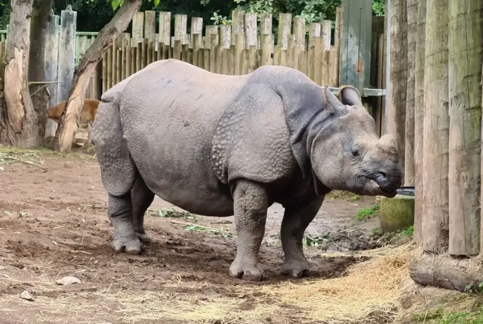 Surrounding area near Buttercups Haybarn 5 Star Cottage with Indoor Pool, Sports Court & Toddler Play Area