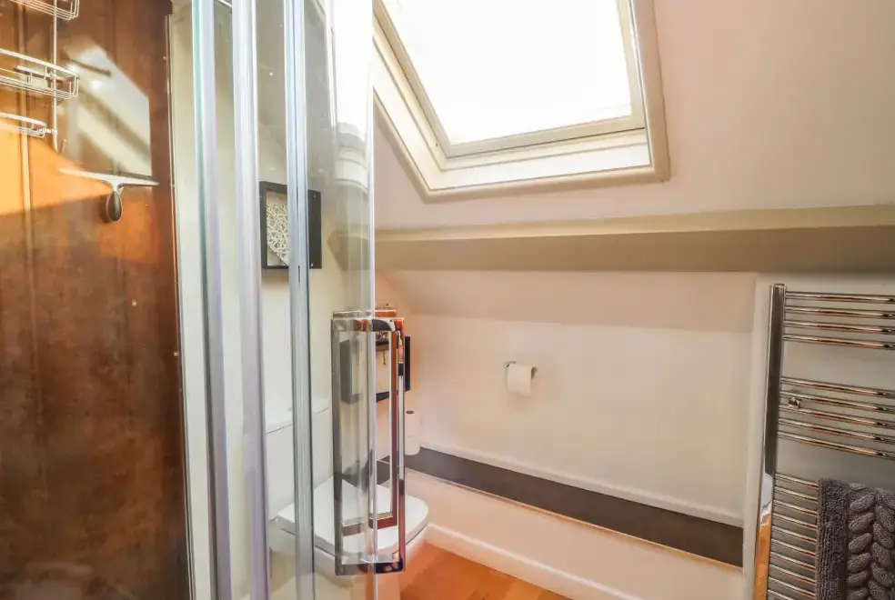 Shower room at Caecrwn