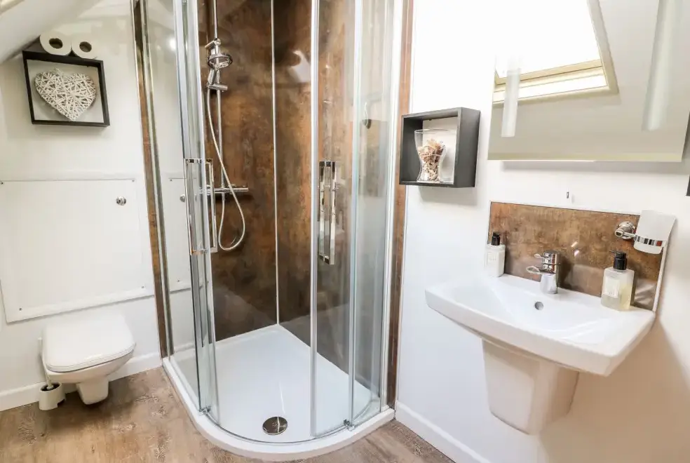 Shower room at Caecrwn