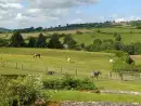 Countryside views at Caecrwn - thumbnail photo