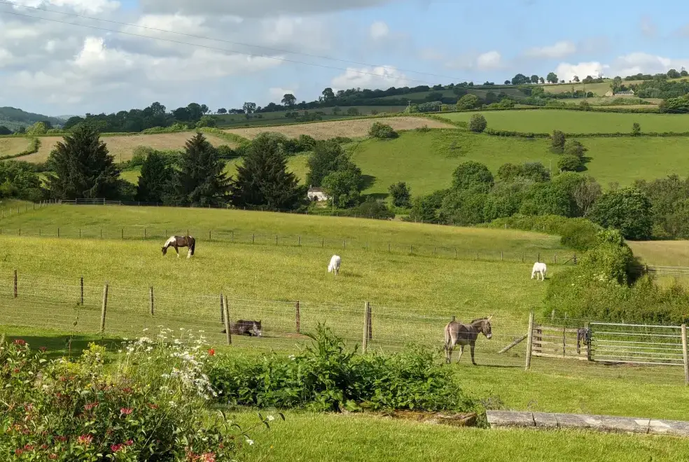 Countryside views at Caecrwn