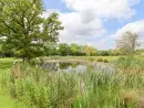 Countryside views at Callow Lodge 22 - thumbnail photo